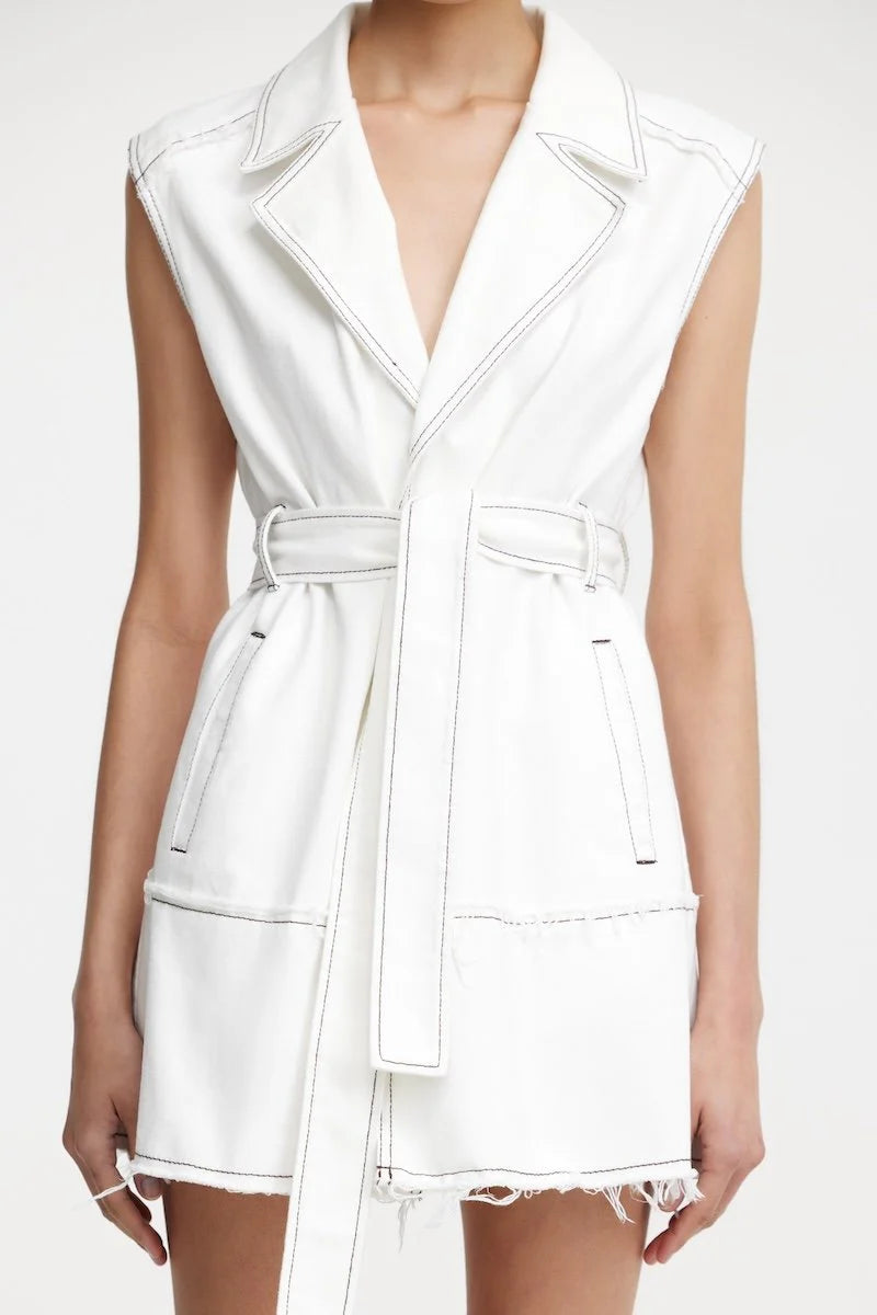SIGNIFICANT OTHER STEVI MIni Dress
